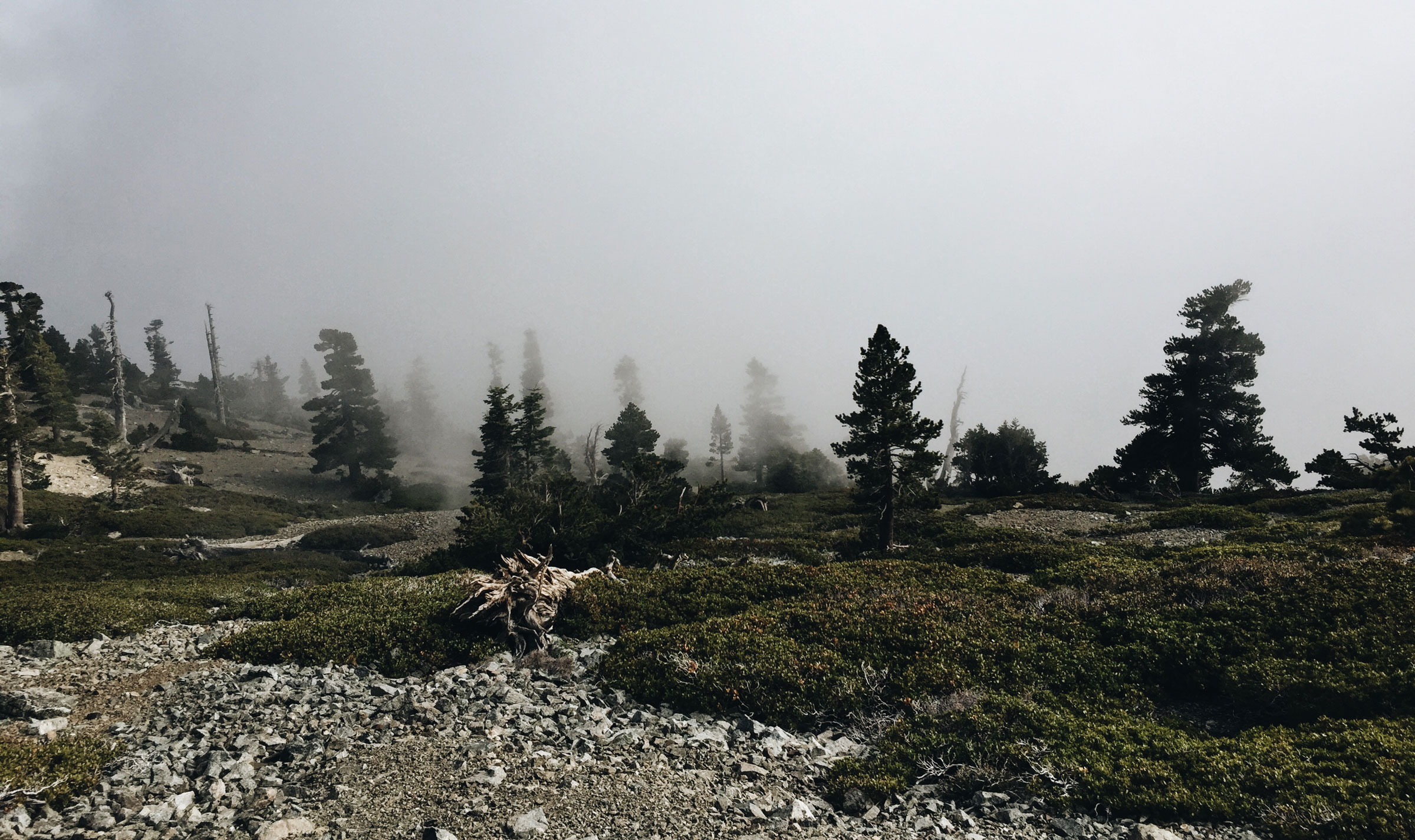 Mt. Baldy - Cloud Hike