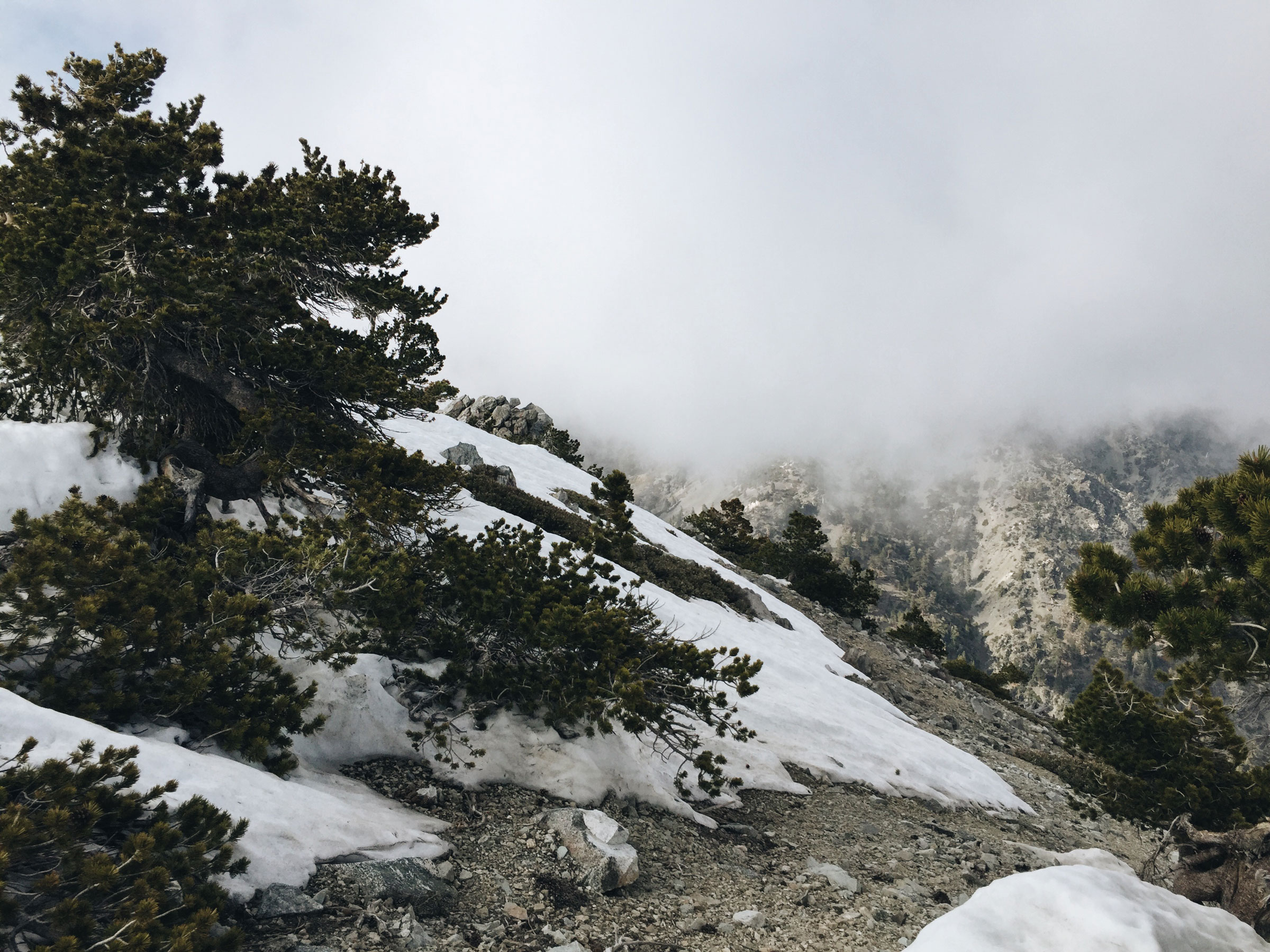 Mt. Baldy - Cloud Hike