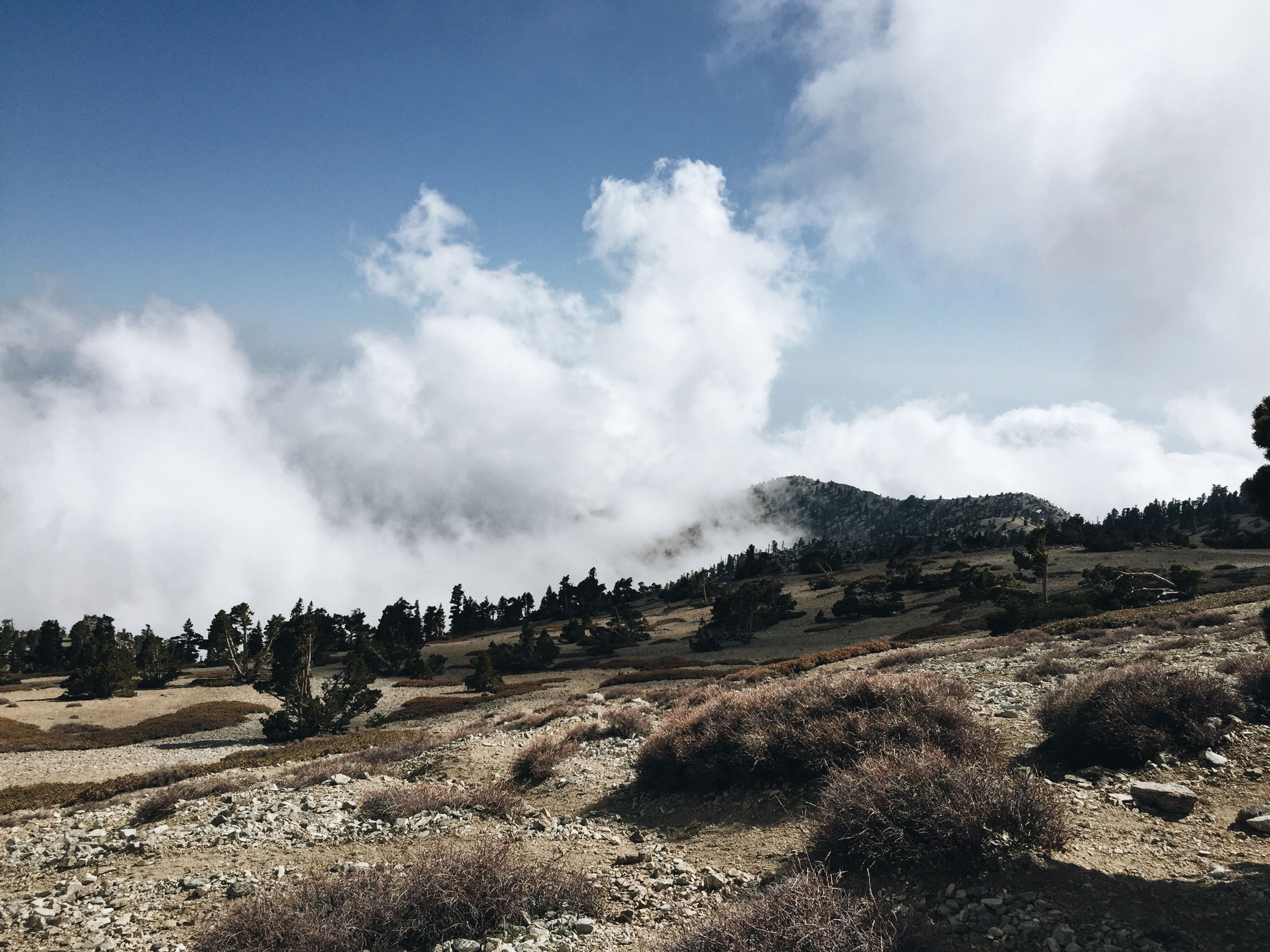 Mt. Baldy - Cloud Hike
