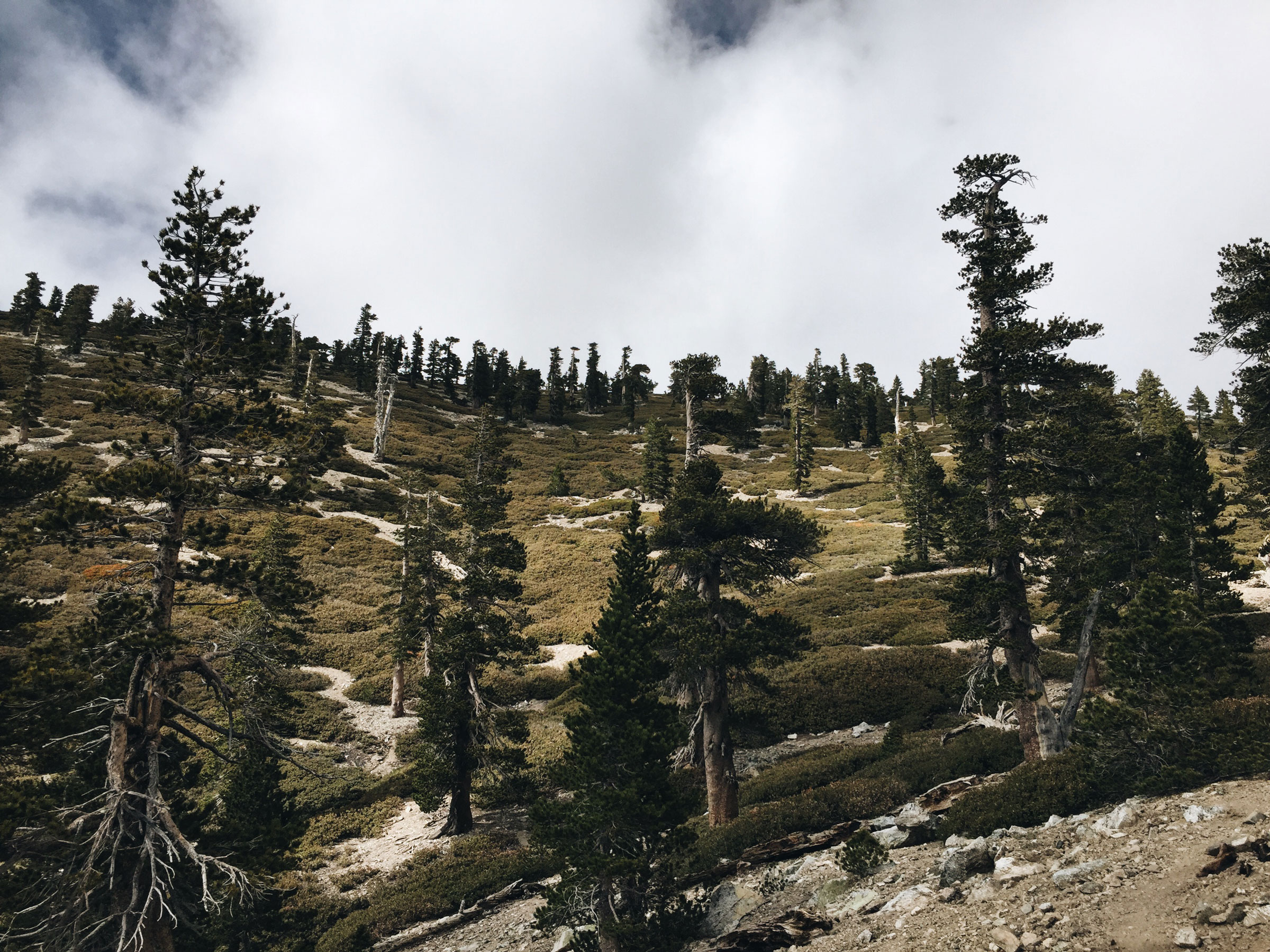 Mt. Baldy - Cloud Hike