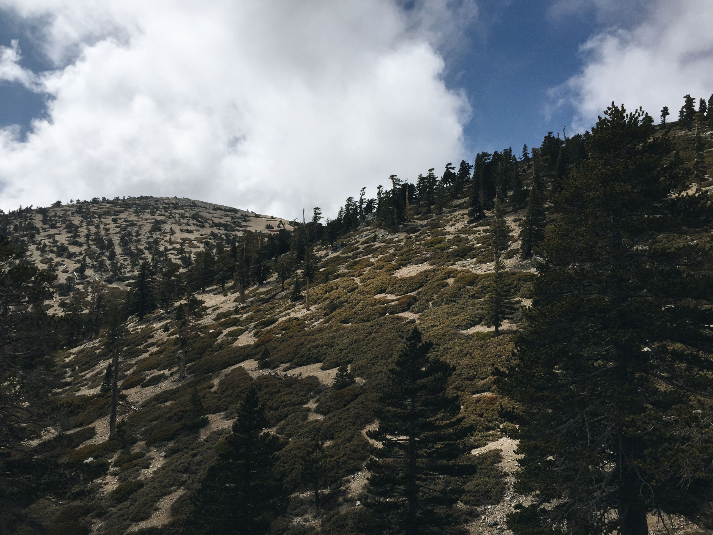 Mt. Baldy - Cloud Hike