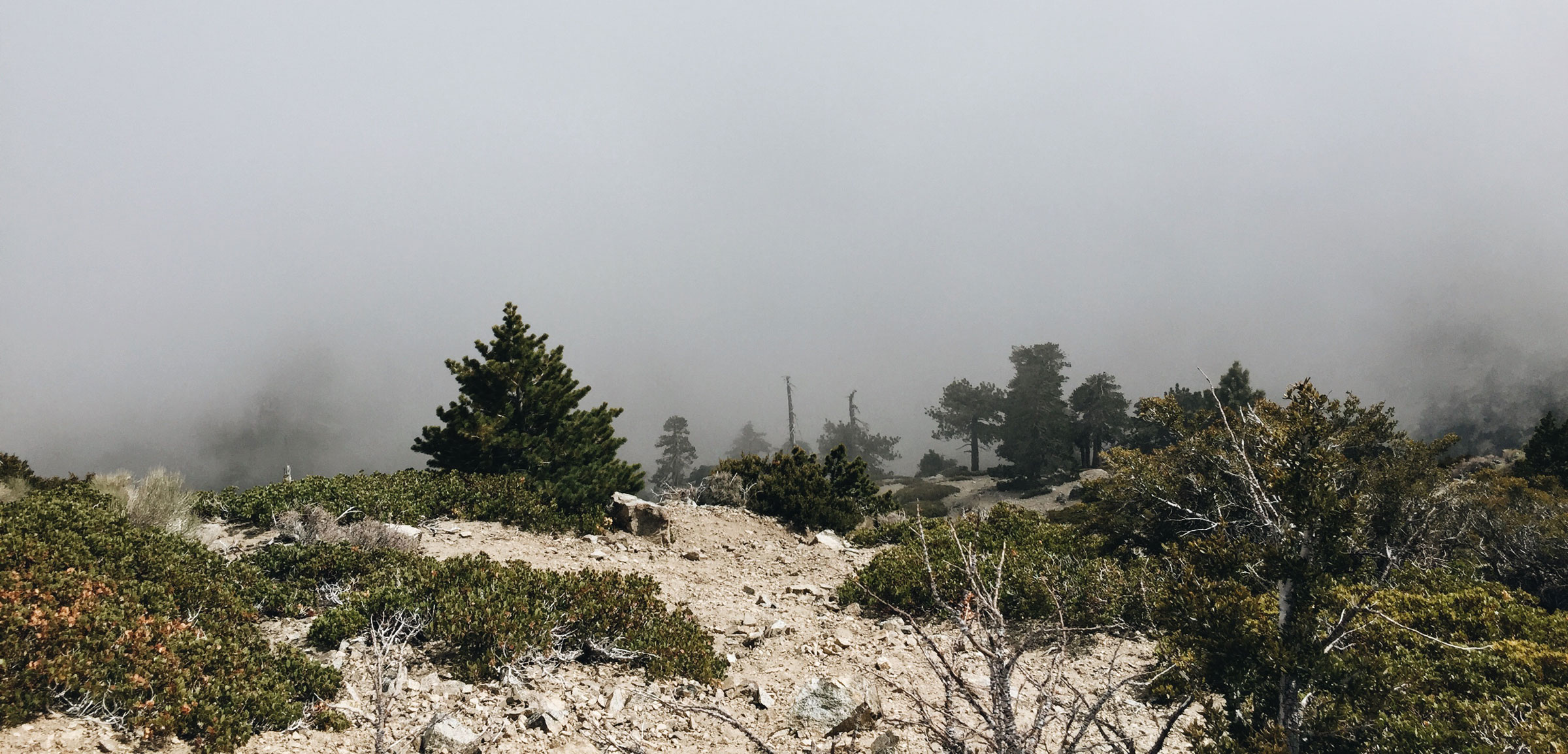 Mt. Baldy - Cloud Hike