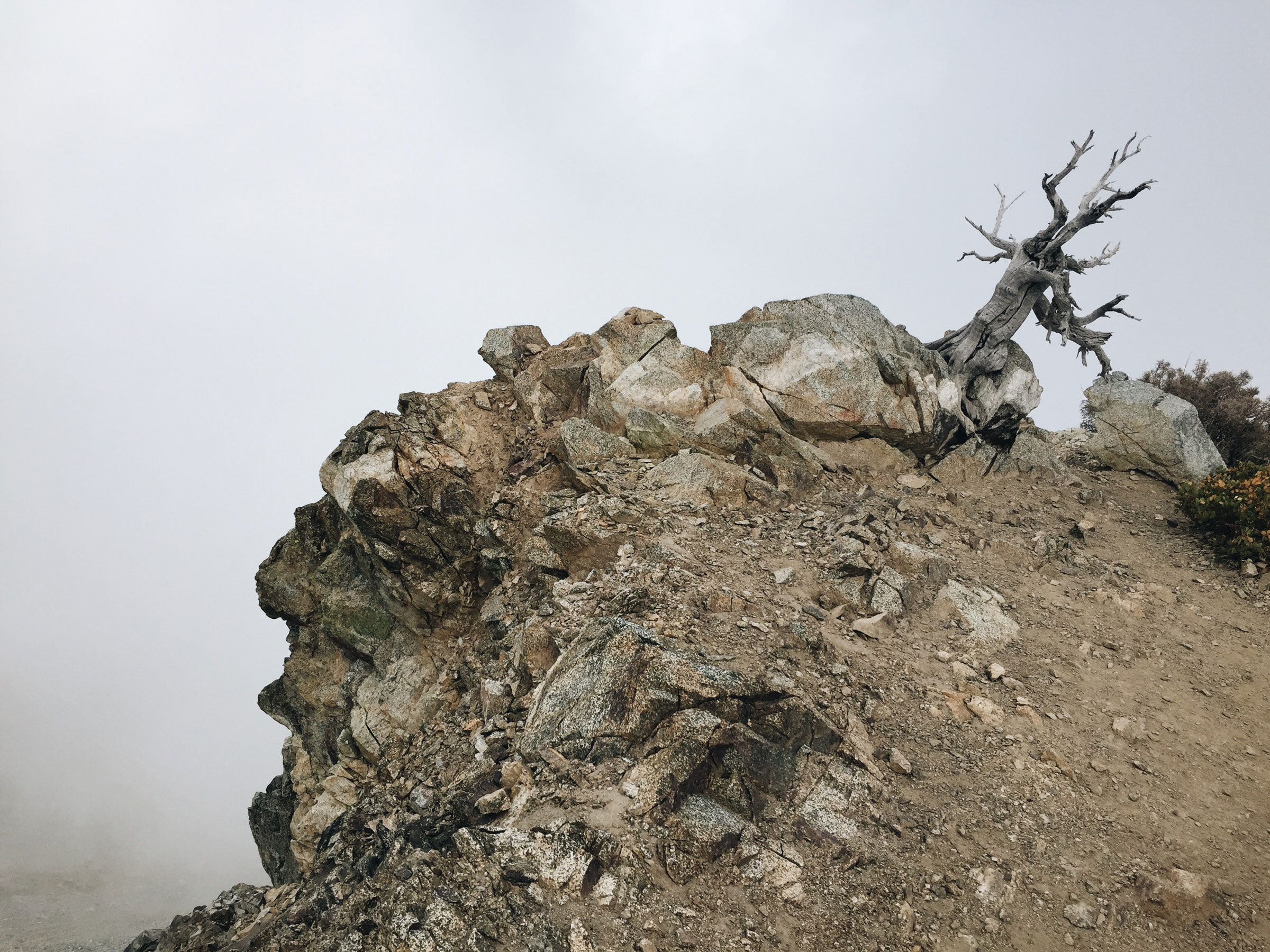 Mt. Baldy - Cloud Hike