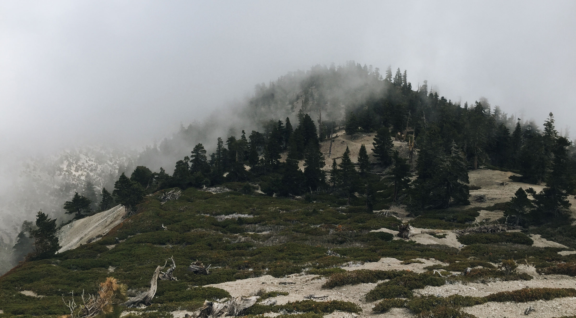 Mt. Baldy - Cloud Hike