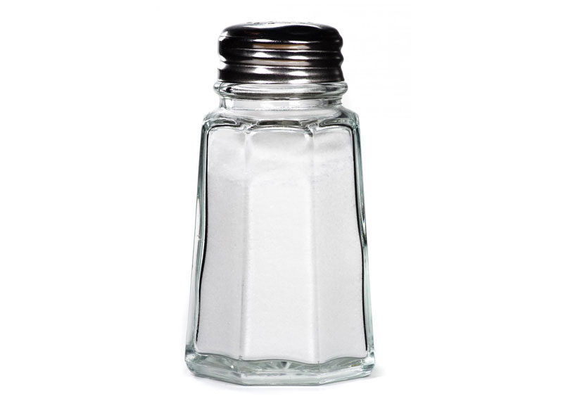 Salt Shaker