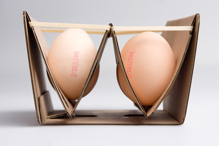 Egg Carton